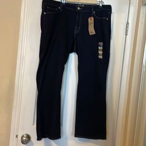 NWT Women's 415 LEVI'S 20W
